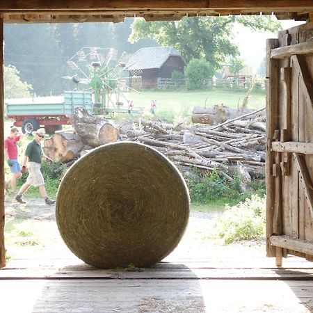 Вилла Urlaub Am Bio-Bauernhof Liebchen Zeutschach Экстерьер фото