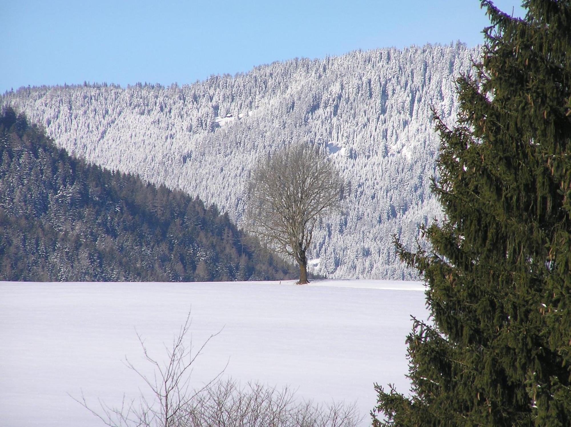 Вилла Urlaub Am Bio-Bauernhof Liebchen Zeutschach Экстерьер фото