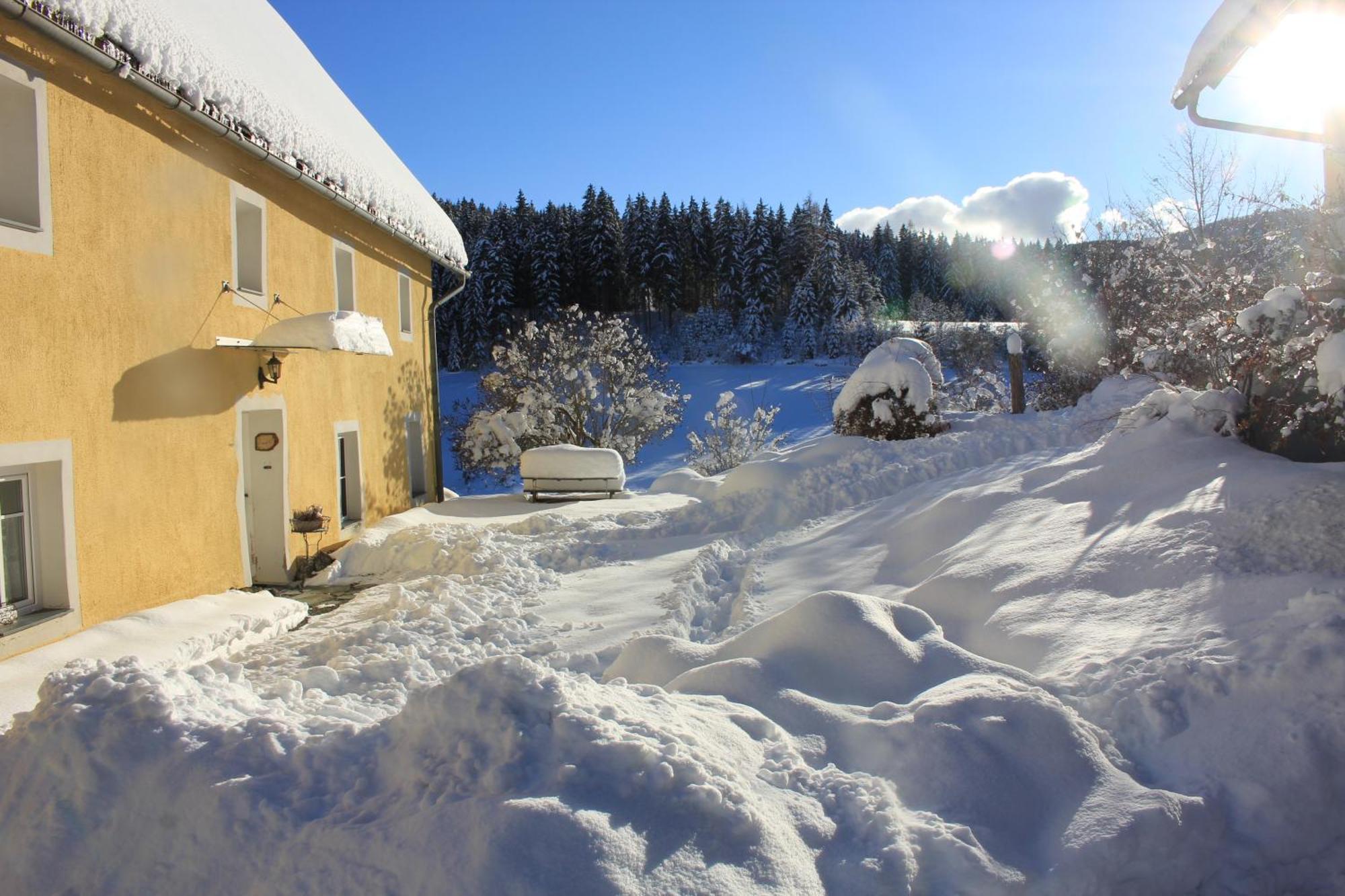 Вилла Urlaub Am Bio-Bauernhof Liebchen Zeutschach Экстерьер фото