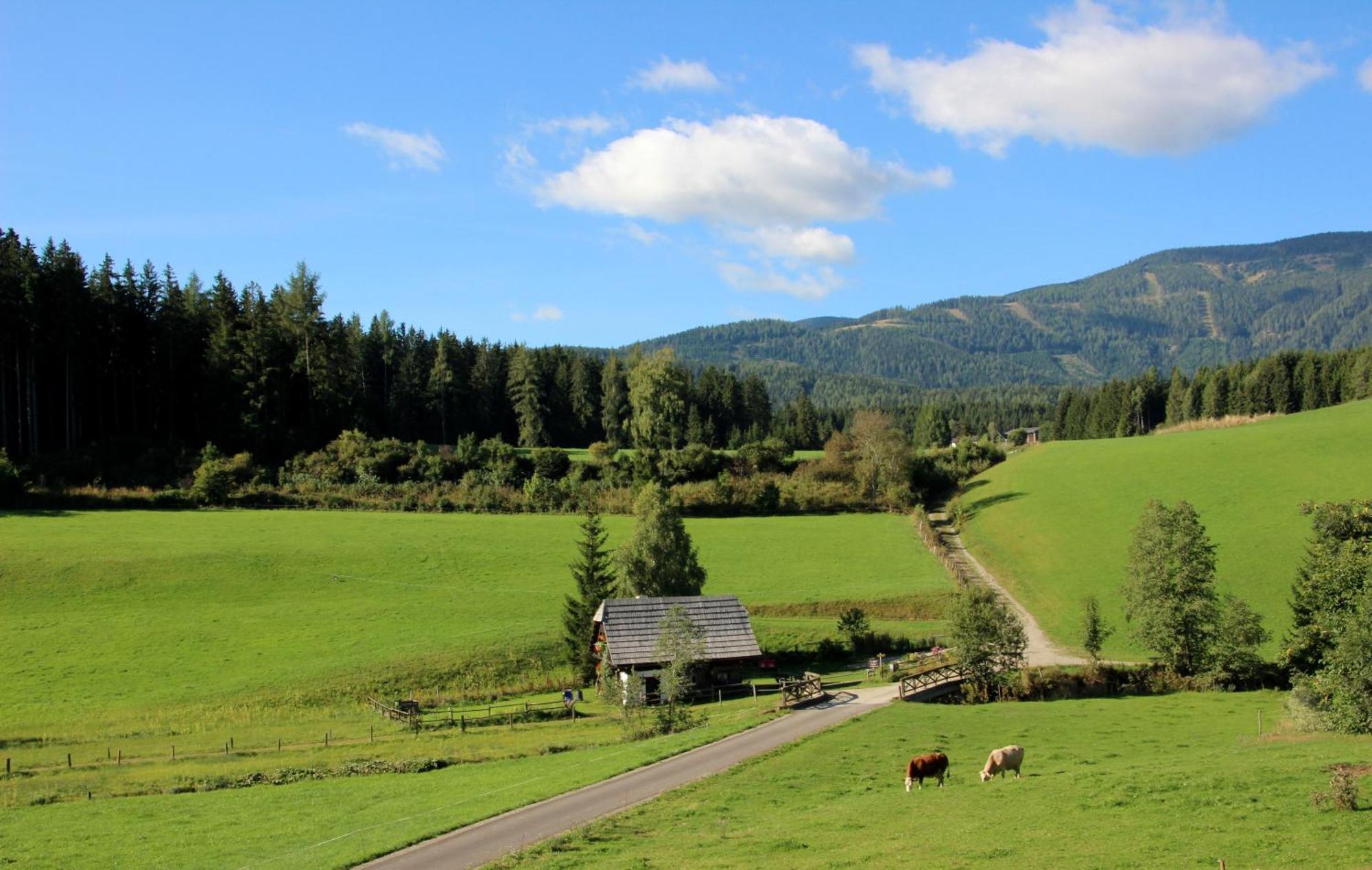 Вилла Urlaub Am Bio-Bauernhof Liebchen Zeutschach Экстерьер фото