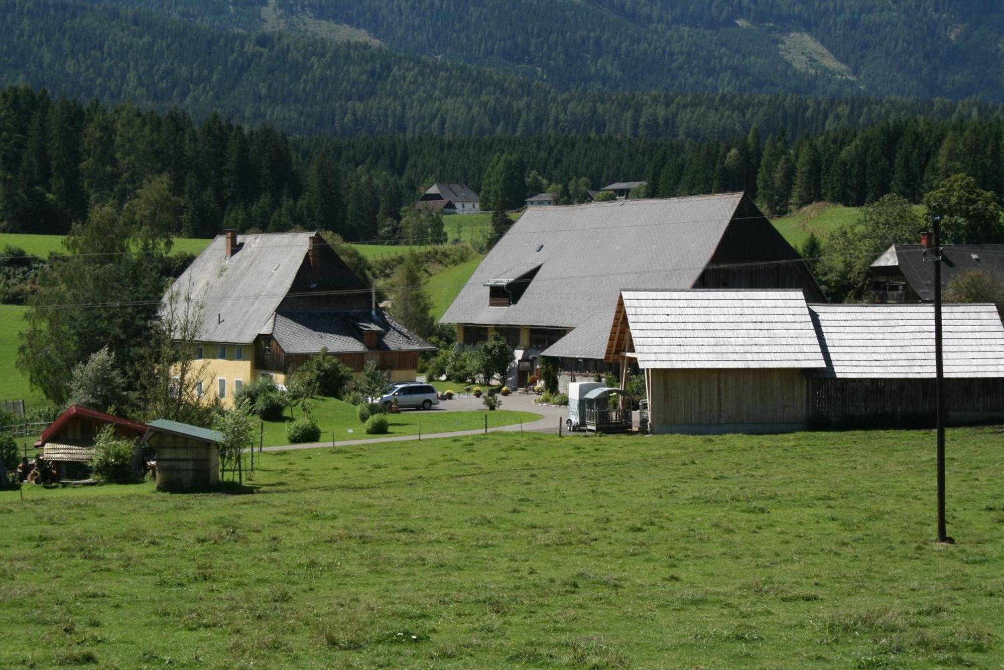 Вилла Urlaub Am Bio-Bauernhof Liebchen Zeutschach Экстерьер фото