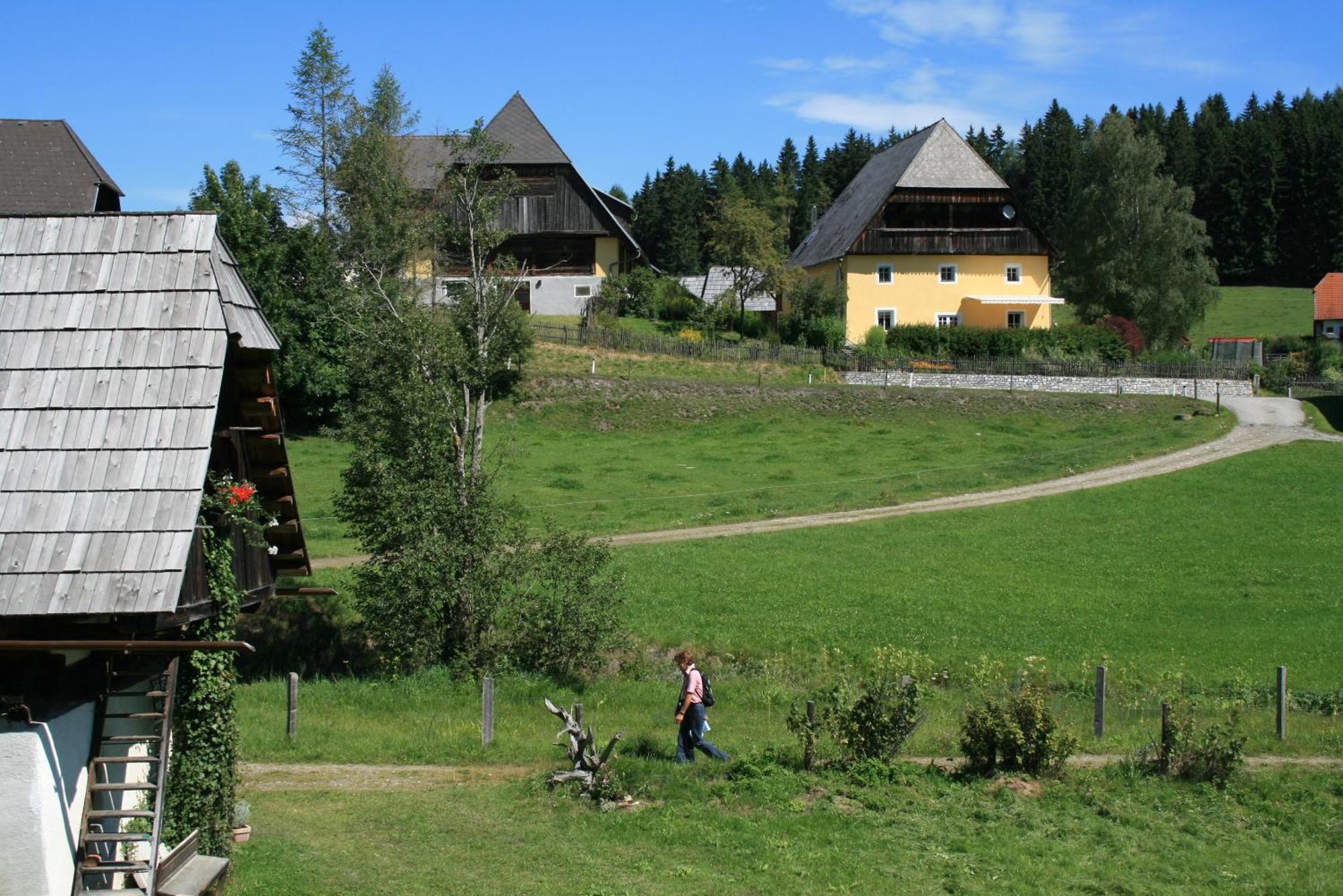 Вилла Urlaub Am Bio-Bauernhof Liebchen Zeutschach Экстерьер фото