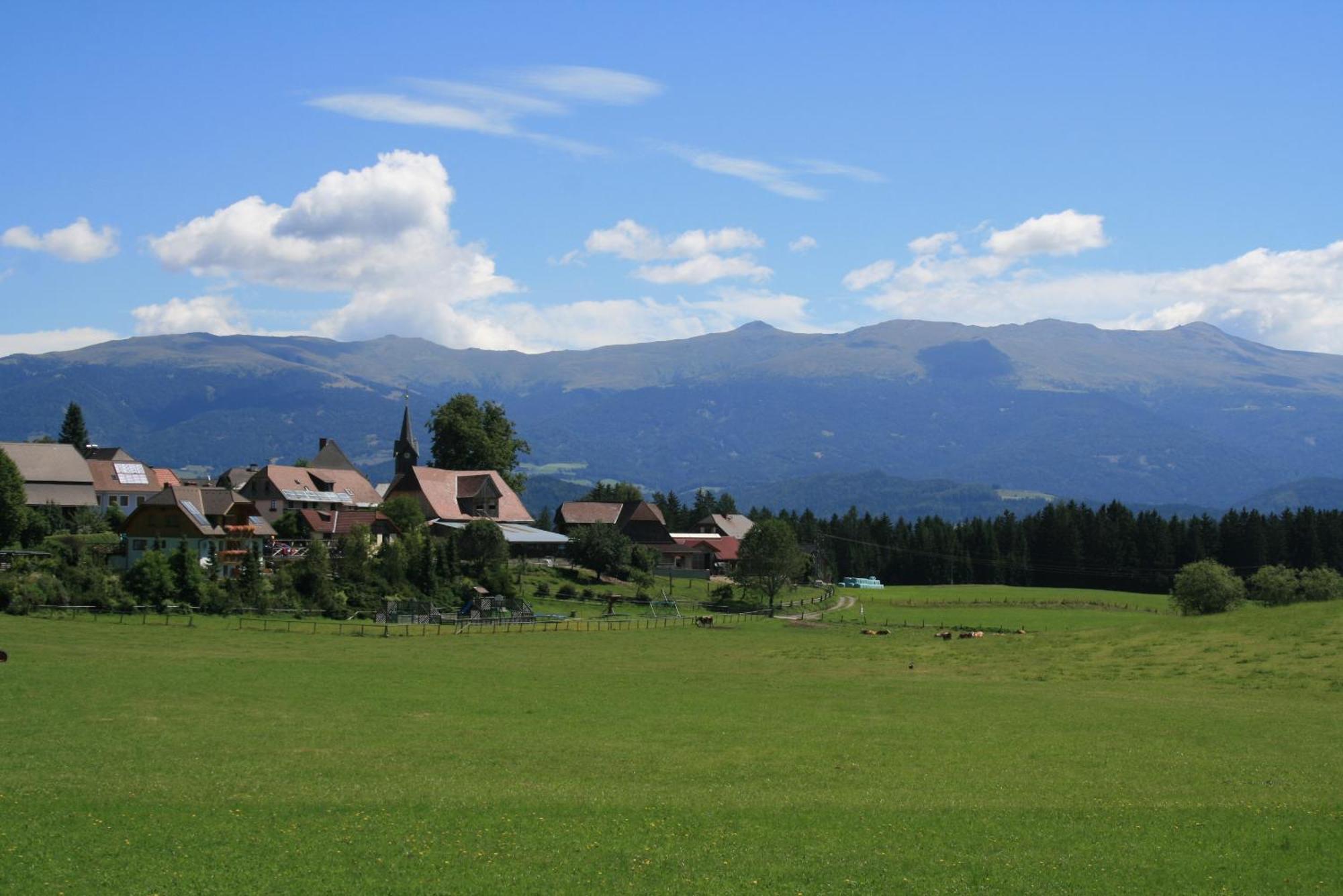 Вилла Urlaub Am Bio-Bauernhof Liebchen Zeutschach Экстерьер фото