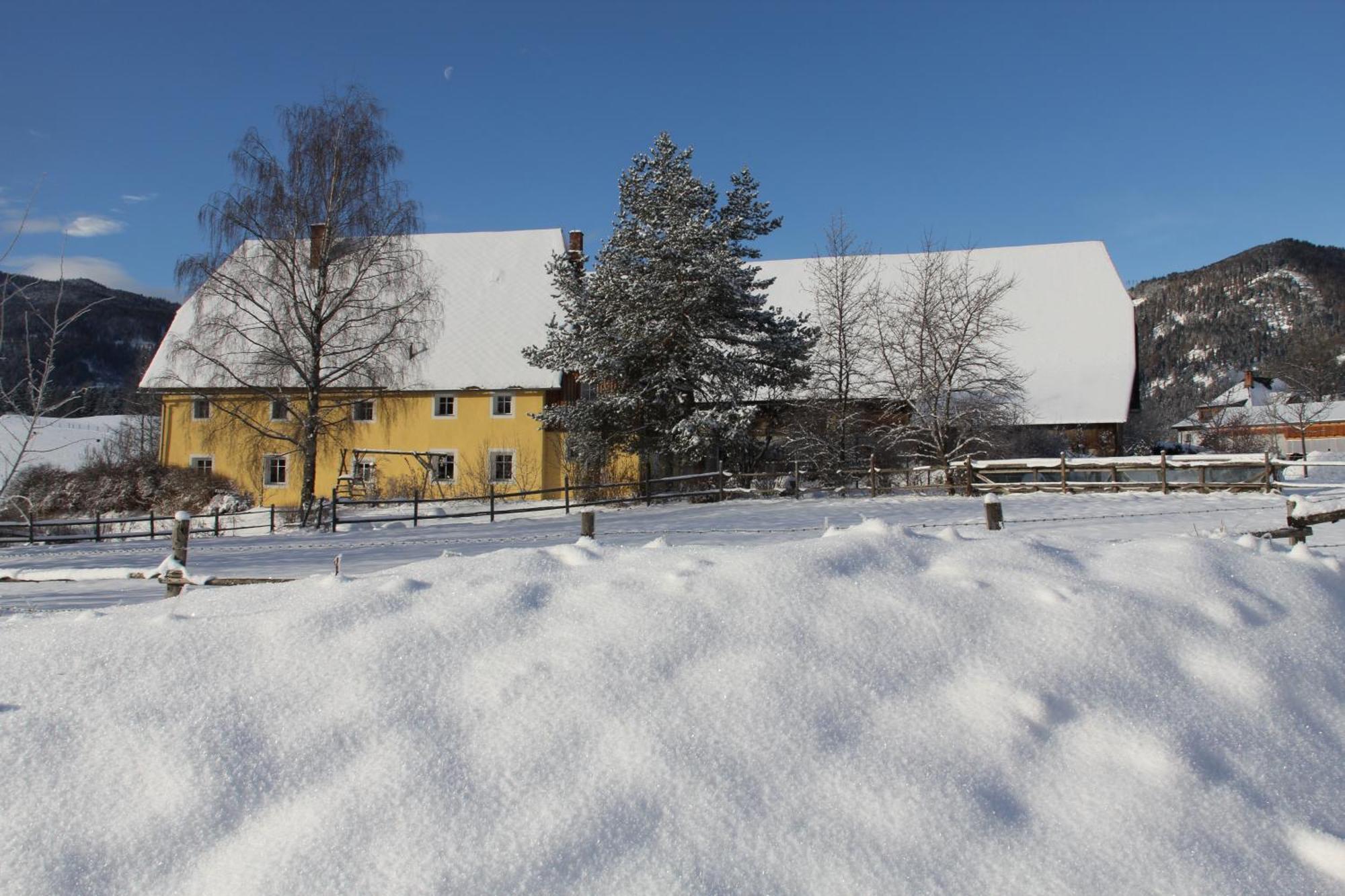 Вилла Urlaub Am Bio-Bauernhof Liebchen Zeutschach Экстерьер фото