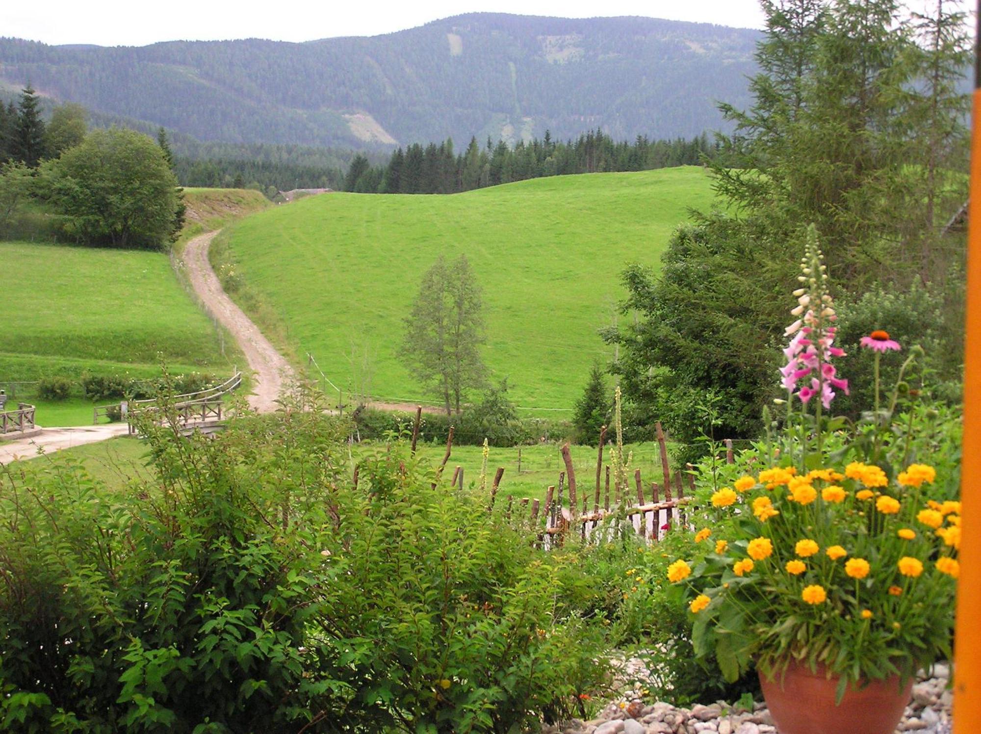 Вилла Urlaub Am Bio-Bauernhof Liebchen Zeutschach Экстерьер фото