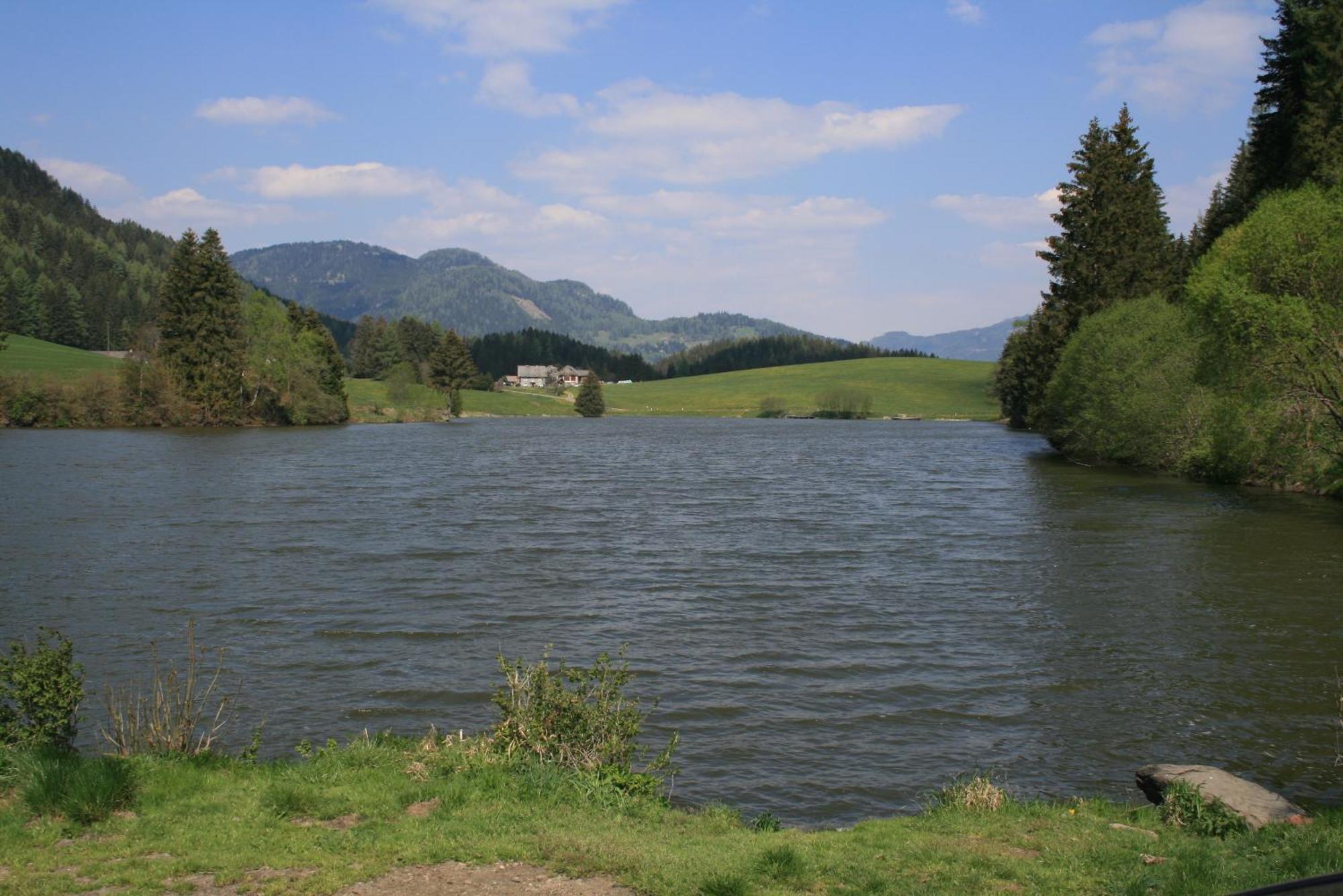 Вилла Urlaub Am Bio-Bauernhof Liebchen Zeutschach Экстерьер фото