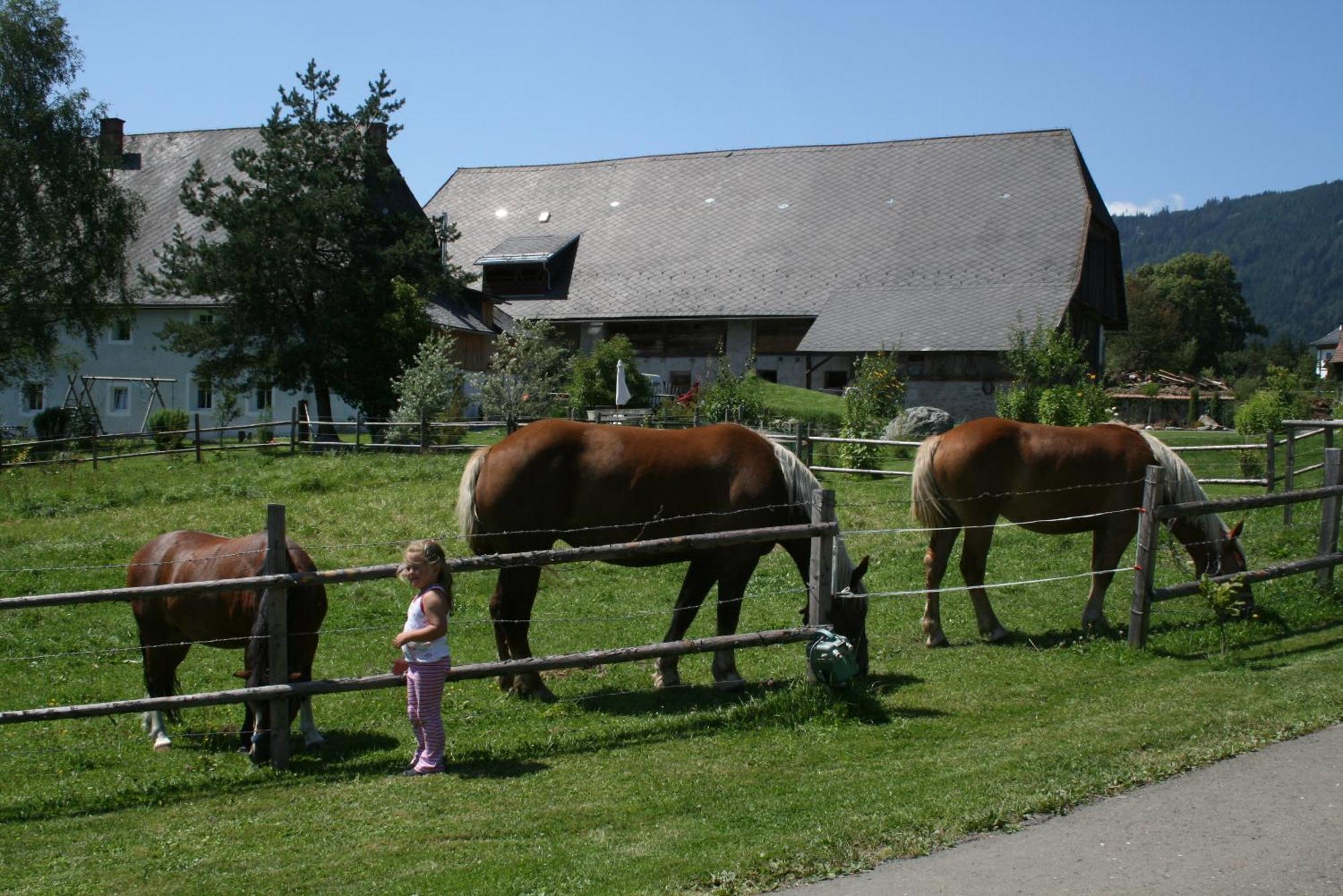 Вилла Urlaub Am Bio-Bauernhof Liebchen Zeutschach Экстерьер фото